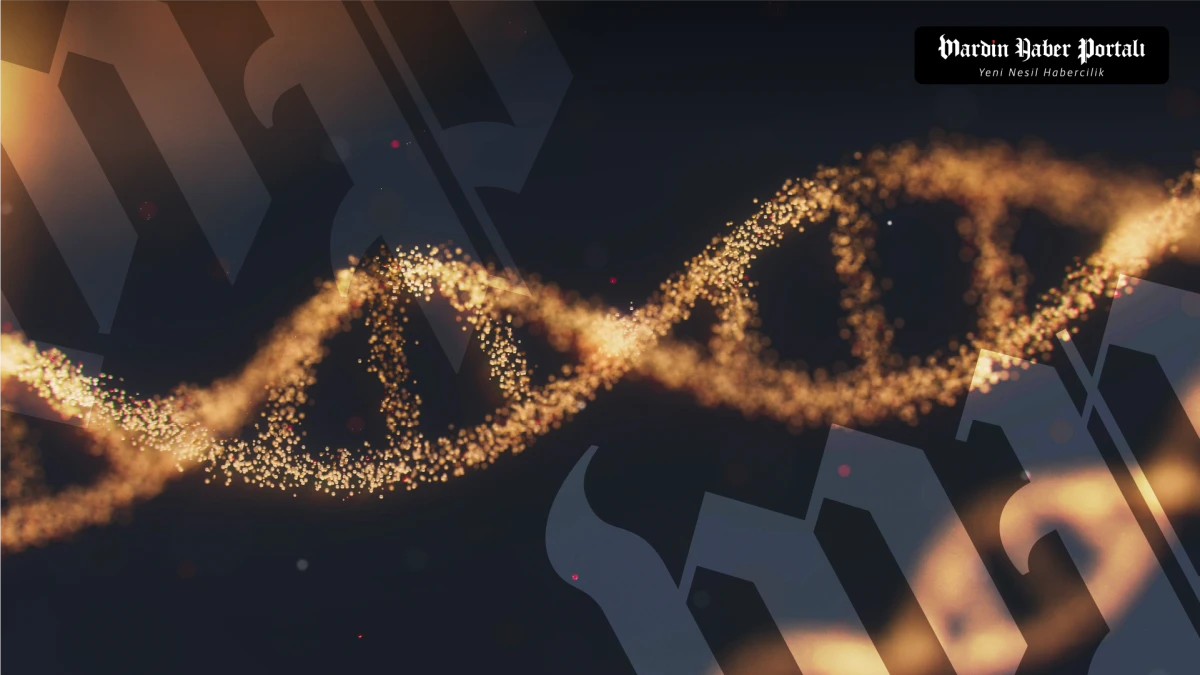 Bilim D&uuml;nyası Uyarıyor: Erkeklerde Y Kromozomu Kaybı Ciddi Hastalık Risklerini Artırıyor