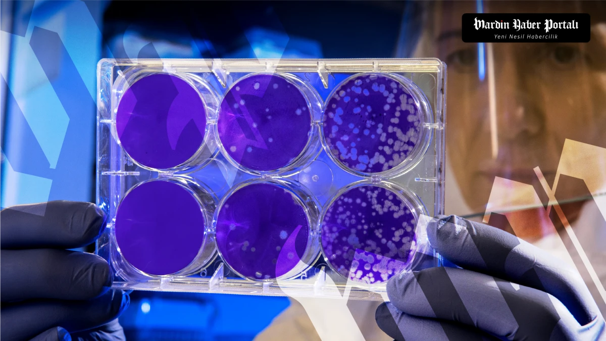 Epstein-Barr Vir&uuml;s&uuml;ne Karşı Kritik Antikor Geliştirildi