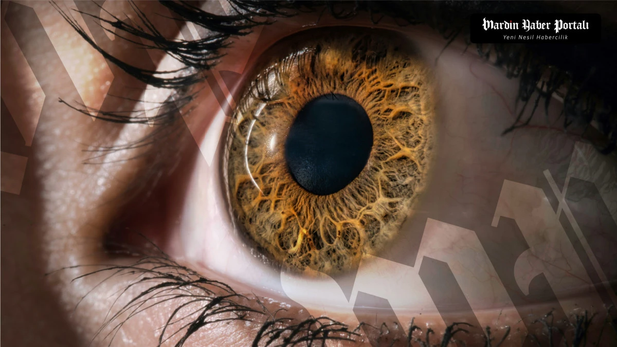 Mardin İl Sağlık M&uuml;d&uuml;rl&uuml;ğ&uuml;&rsquo;nden Kritik Uyarı: Glokom Sinsi İlerliyor
