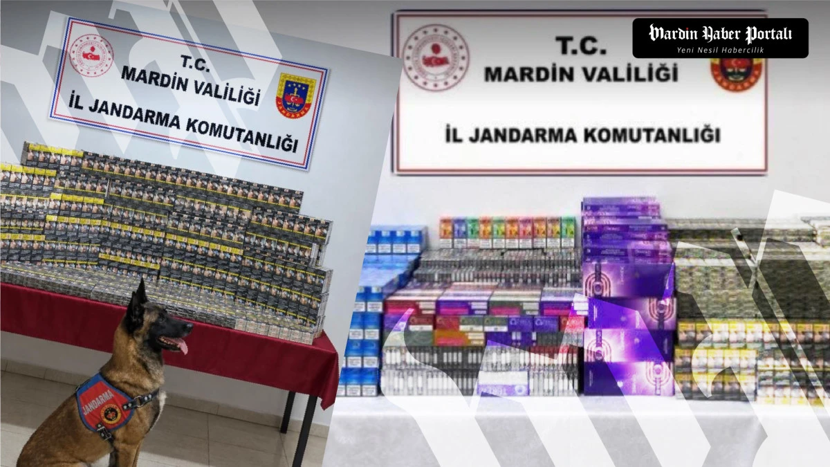 Mardin&rsquo;de D&ouml;rt İl&ccedil;ede Ka&ccedil;ak&ccedil;ılık Operasyonu: 5 Milyon Liralık &Uuml;r&uuml;n Ele Ge&ccedil;irildi